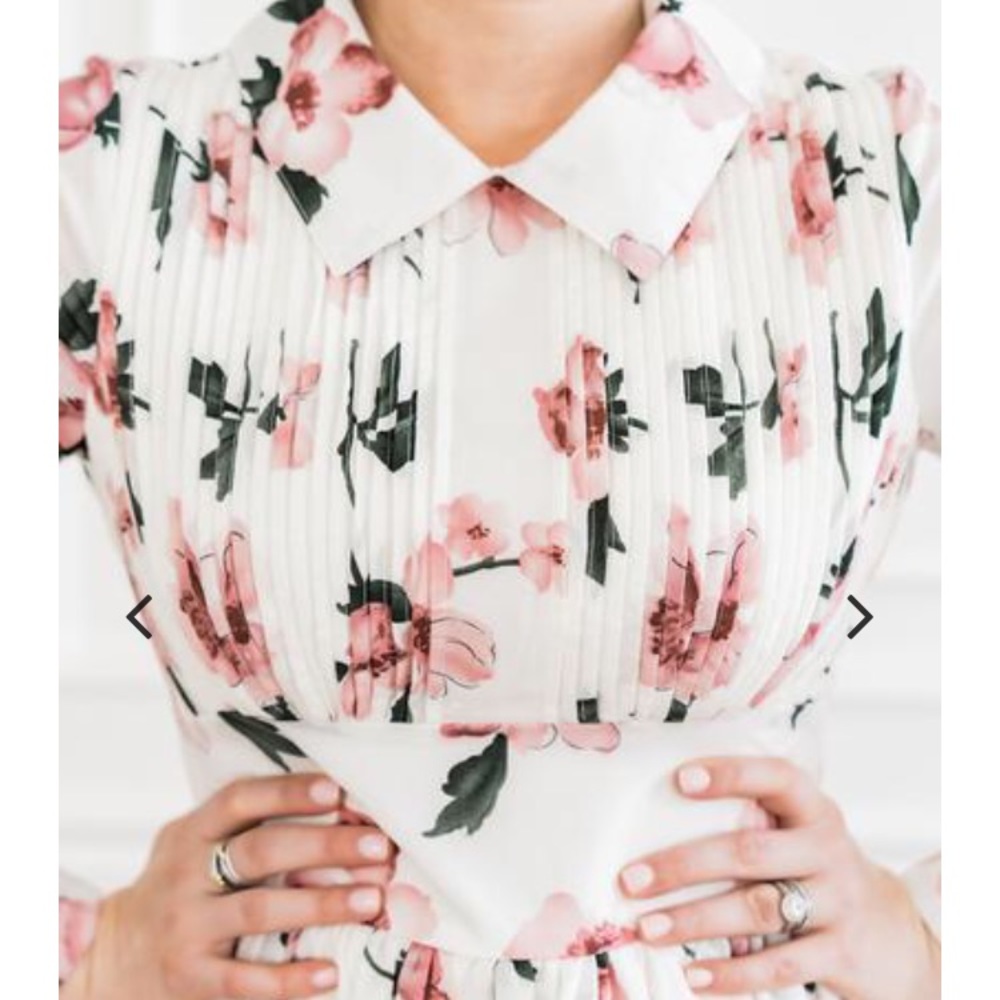 Shabby Apple Rose of Sharon 🌹 pleated midi dress